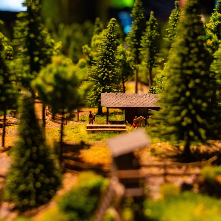 Innenaufnahme Goslar Rathaus